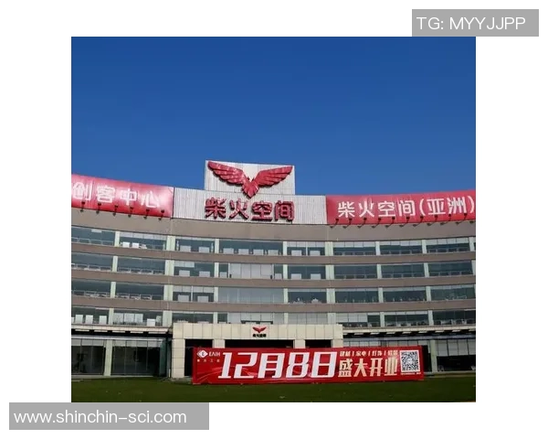 深入分析上海羽毛球队的运营策略与市场推广模式